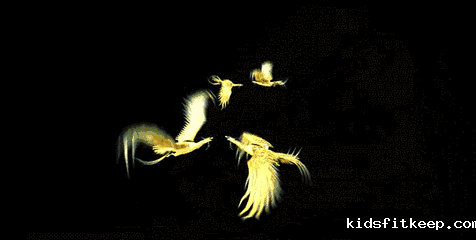 1656397471713245.gif kro54x9yh9.gif