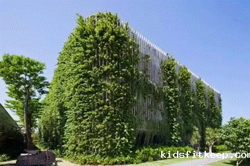 1659775026653492.gif clip_image002.gif