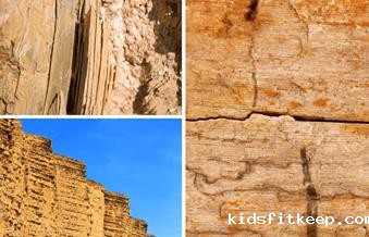 1662172586293742.jpg clip_image002.jpg