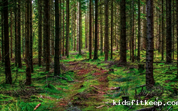 1662365104204602.gif clip_image002.gif