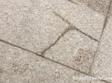 1662183086162223.gif clip_image006.gif